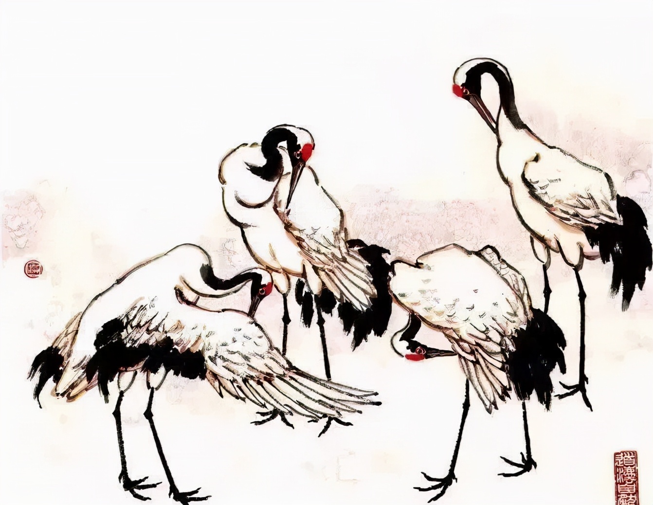 最简单的仙鹤画法,有关仙鹤的简单画法