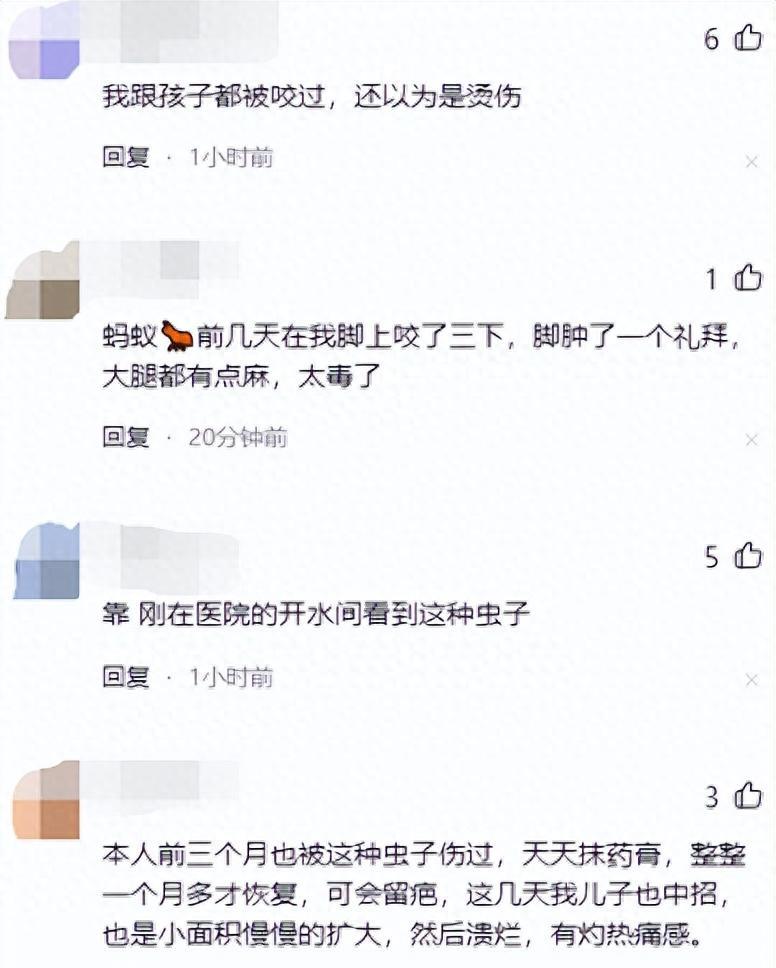 硫酸虫咬了怎么处理,硫酸虫导致皮肤损伤处理