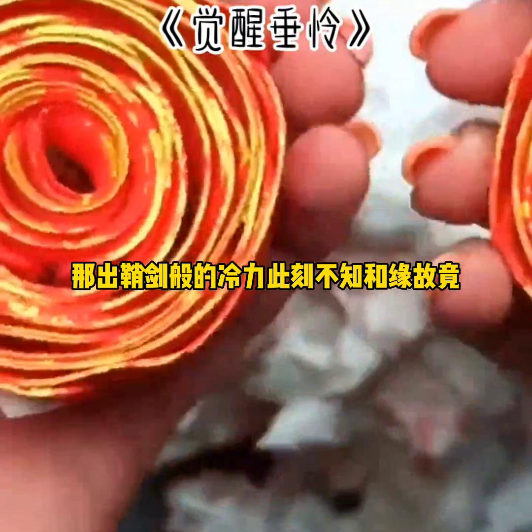 小说排行榜前十名,小说推荐