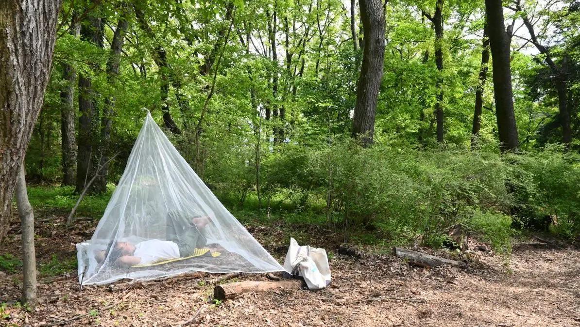 在室内长期睡帐篷有哪些影响,野外用蚊帐睡觉