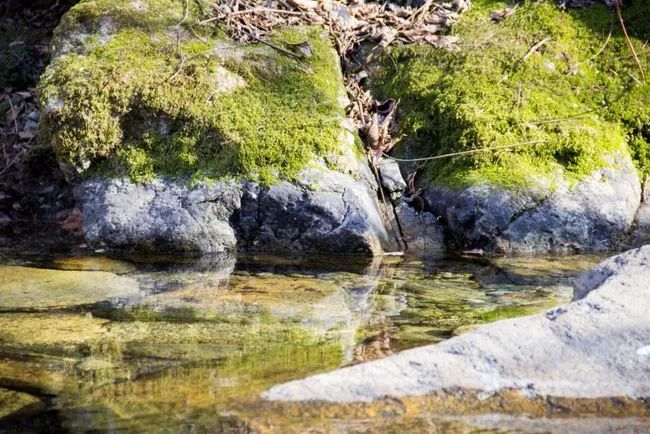 冬天寻访秦岭大峪，不但还有古道遗迹可循，还能见到这条野生广告