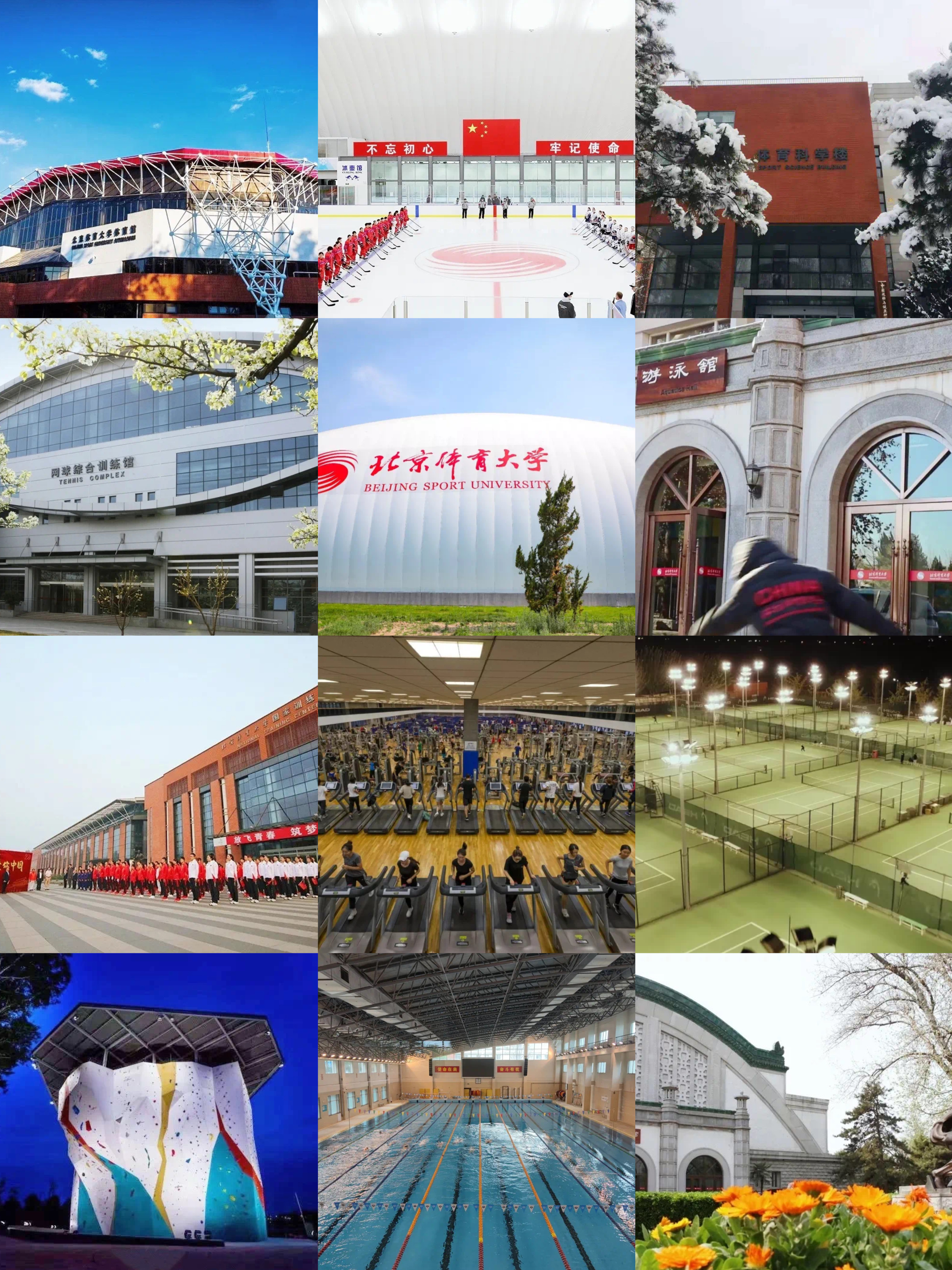 北京体育大学利与美,北京体育大学亚洲荷尔蒙