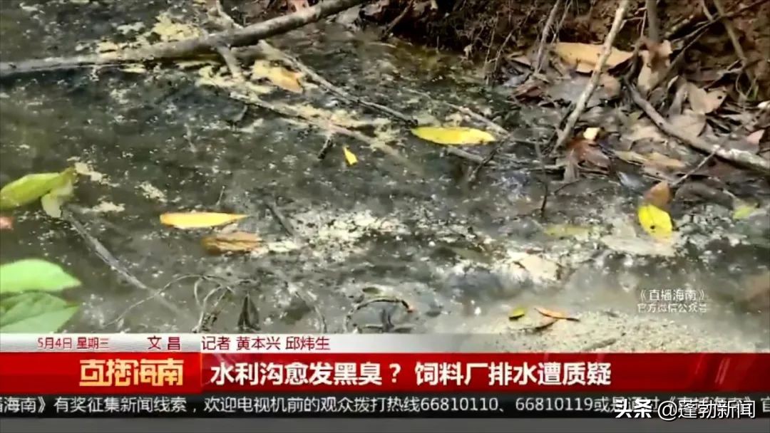 海南文昌臭水沟,文昌市水污染