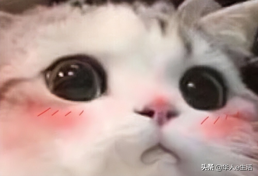 泰国有哪些好吃的泡面,泰国最好吃的速食面