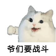 新鲜事新学期,新学期新鲜事一年级