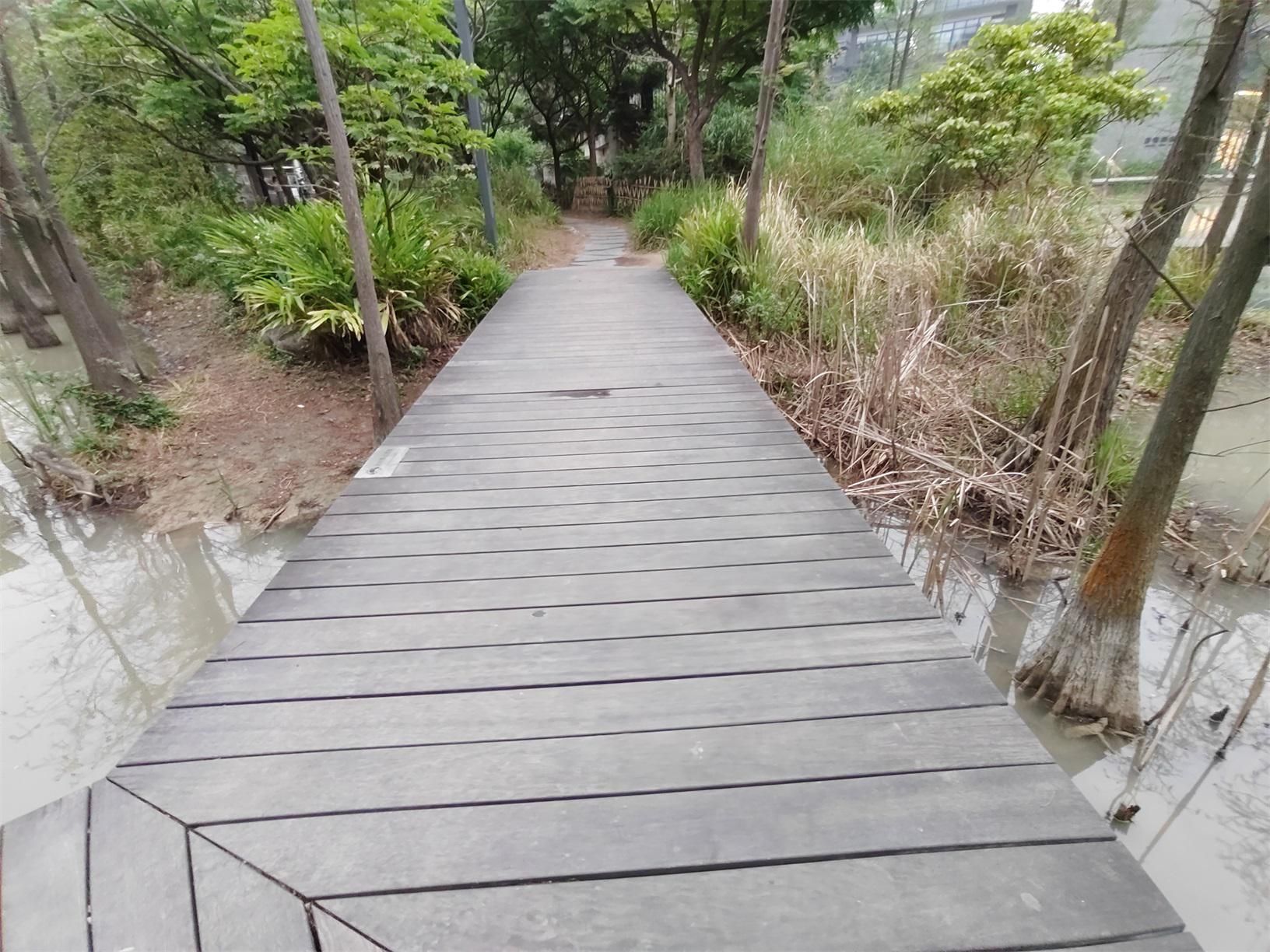 篮球运动技术从入门到精通,如何精进篮球技术