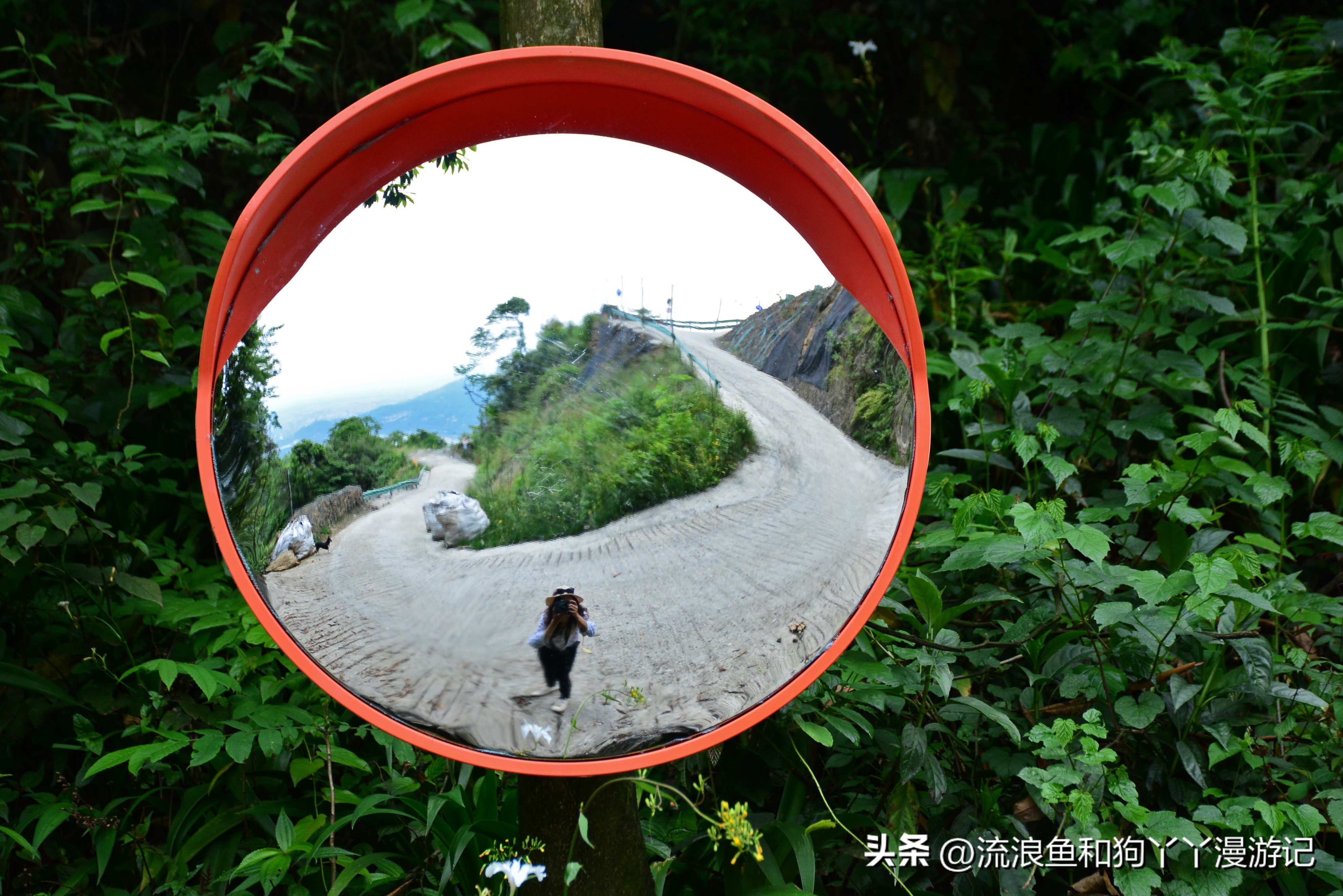 四月份成都近郊一日游好去处,2022成都近郊看雪一日游最佳去处