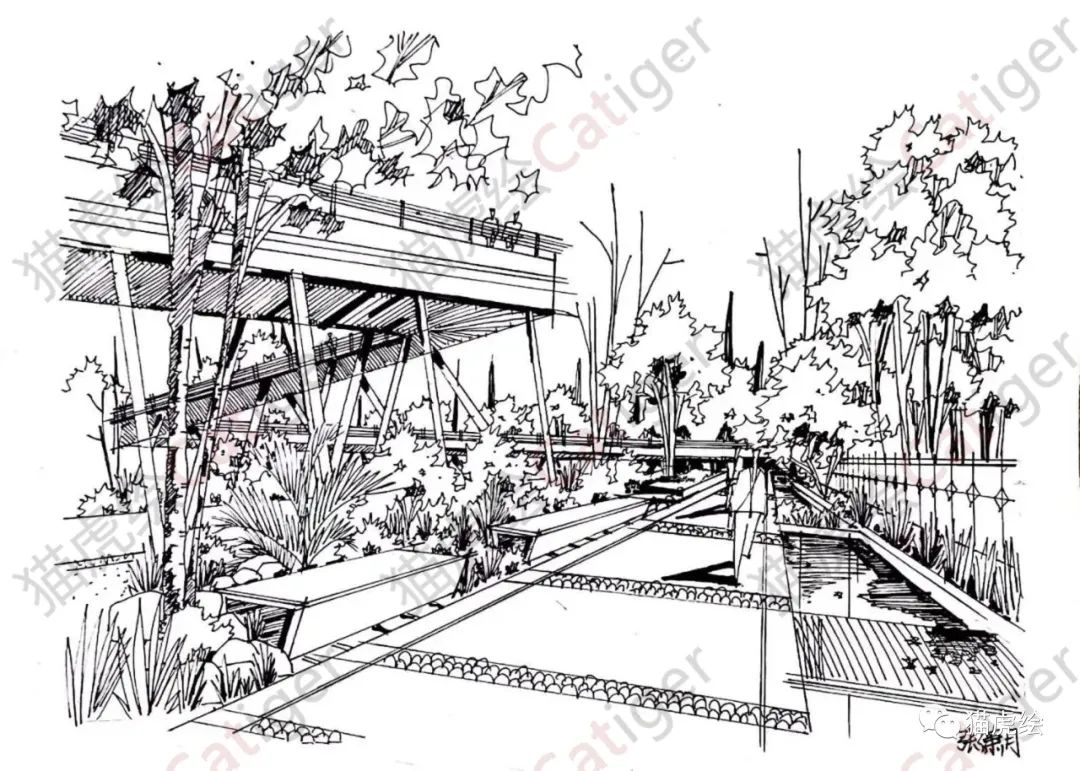 2022猫虎绘暑假手绘班招生简章「线上+线下」