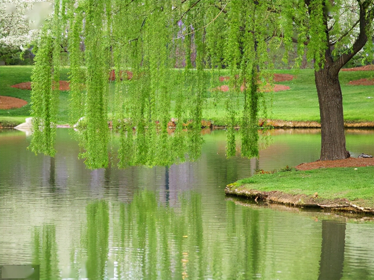 “诗豪”高水平的10首七绝，《望洞庭》第三，哪两首比它更强？