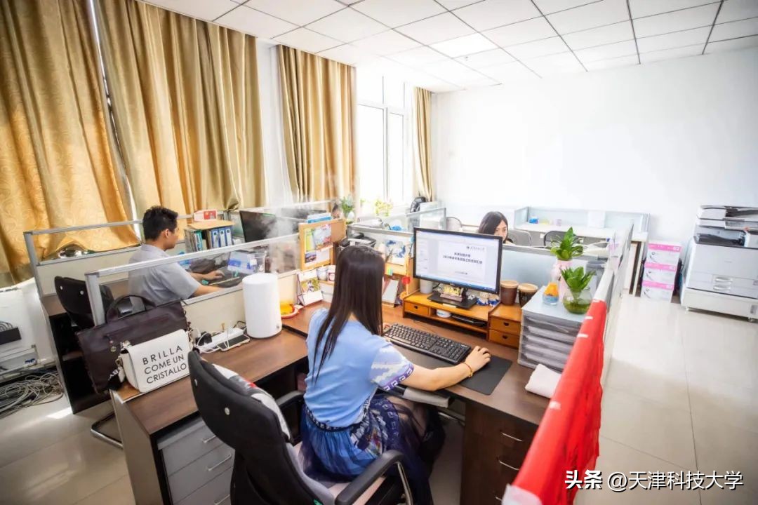 机关作风建设措施,机关作风建设活动方案