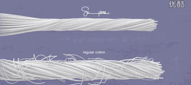 纯棉床品为什么这么贵,好的床品和便宜的床品差别