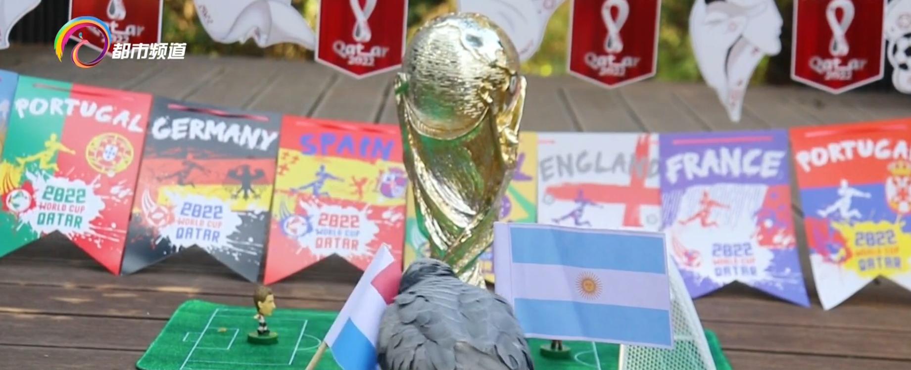 动物预测世界杯四强赛,世界杯半决赛动物预测