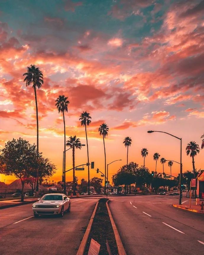 美国留学四大专业排名,美国留学择校四大地区各有千秋