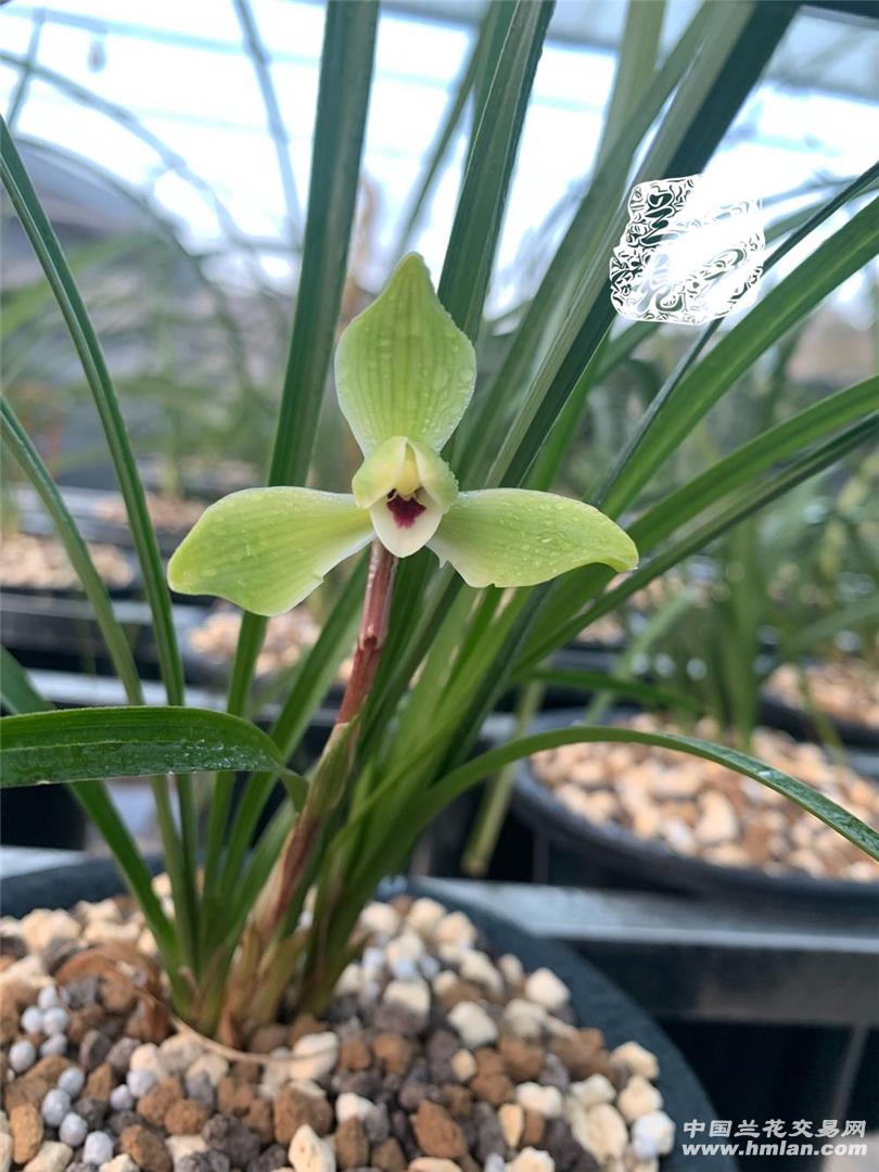 80鍚庡皬浼欏吇鍏扮殑骞冲焊鐢熸椿,90鍚庡吇鍏颁汉鎴愬姛妗堜緥