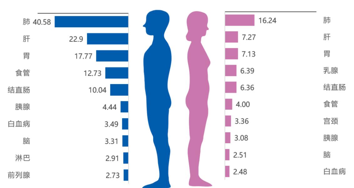 重视体检,远离烟酒,养护肝肺胃,构筑父亲健康的家庭防线