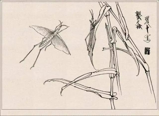 工笔草虫白描王道中,写意花鸟画草虫绘画过程分享