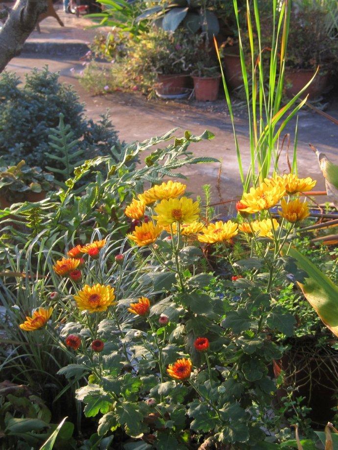 我的生活感悟4条，句句实话实说