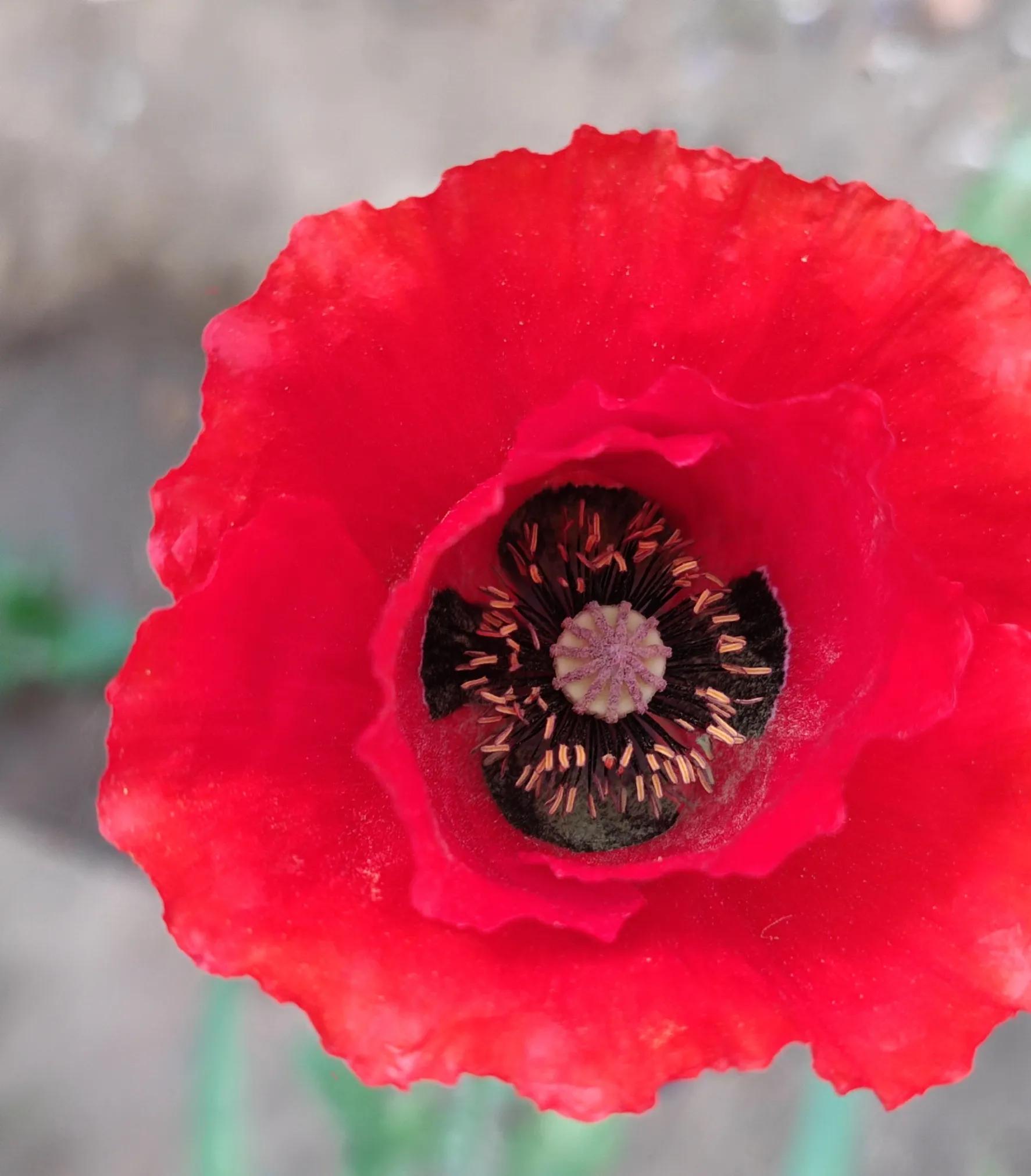 优秀作文我的一天,特别好的优秀作文