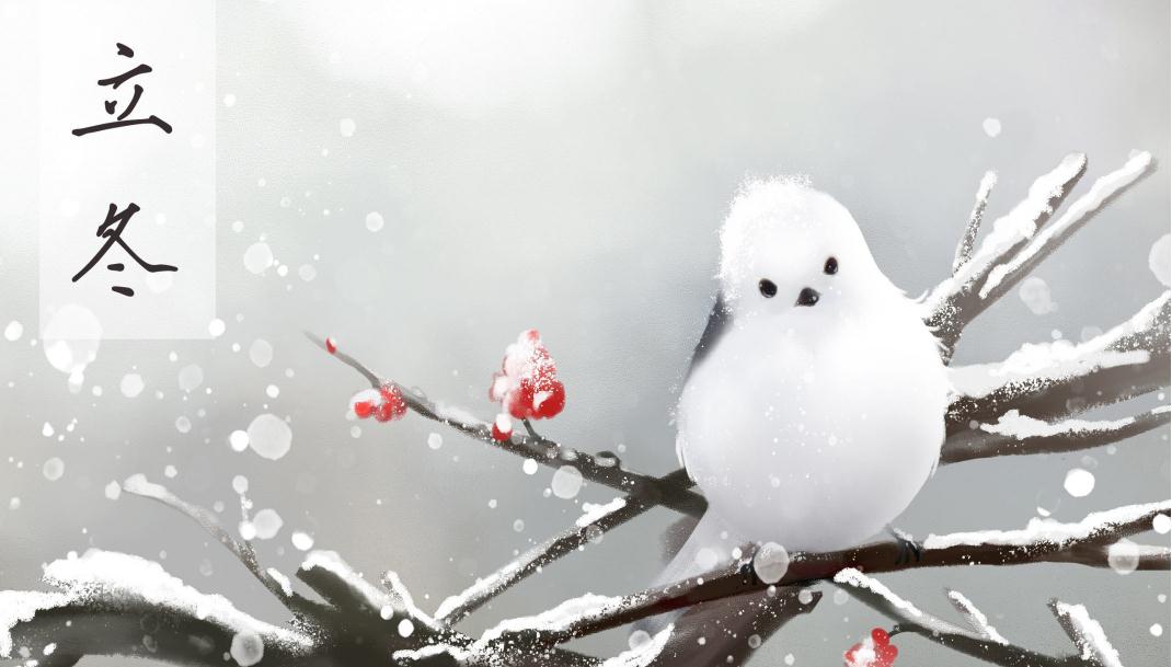 中国文化惊艳世界二十四节气,中国二十四节气分别是什么