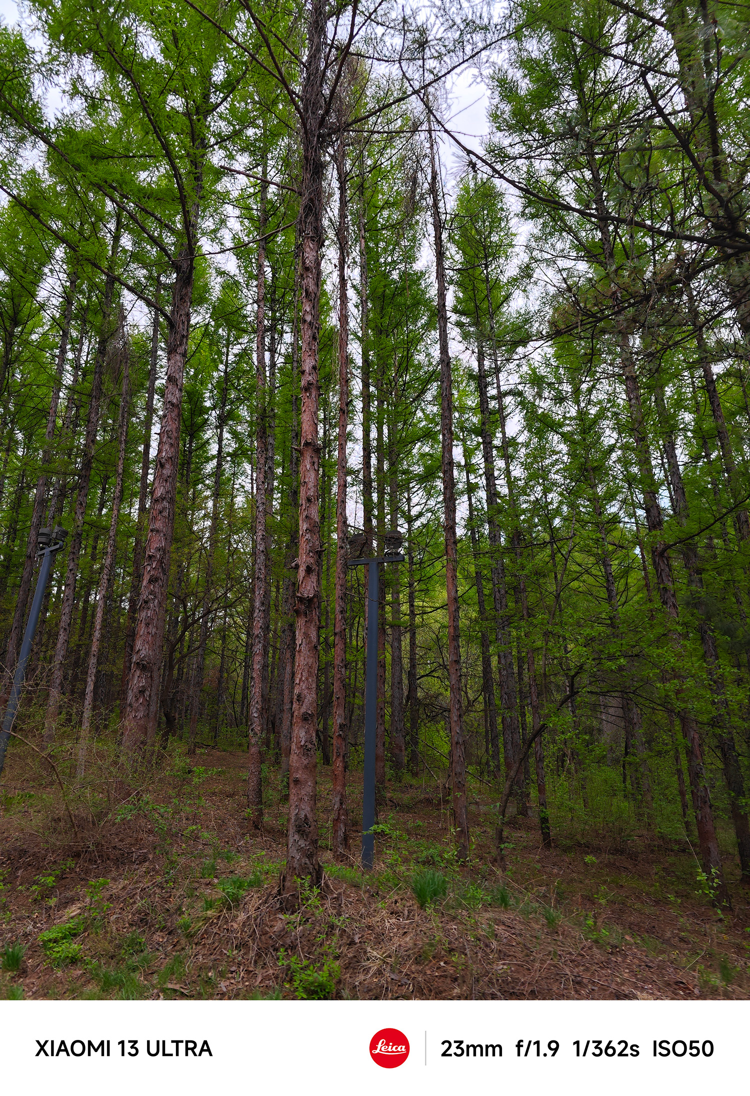 小米13ultra拍照效果真的好吗,小米13ultra释放最大拍照性能