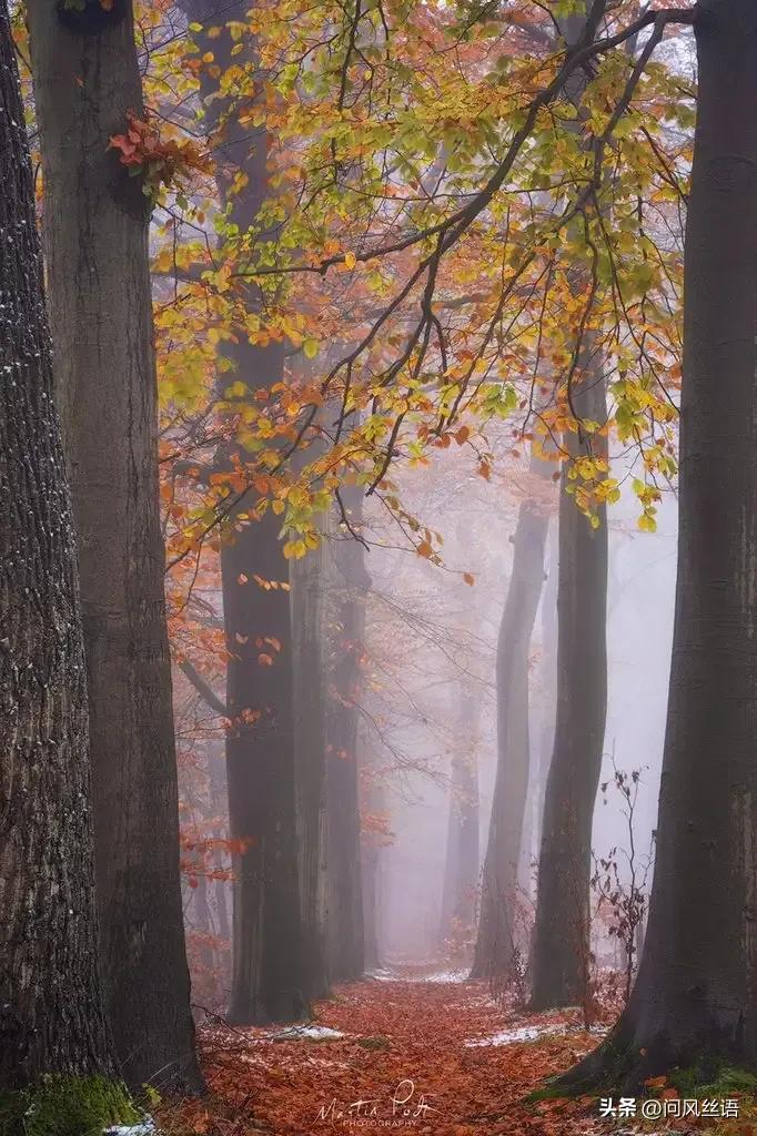 每日一事221126——第一次京东购物始未