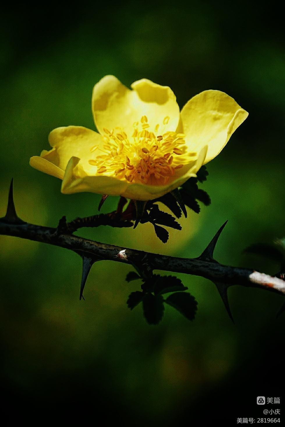 想让自己云淡风轻看淡世态炎凉,世态炎凉常让人心寒唯有做好自己