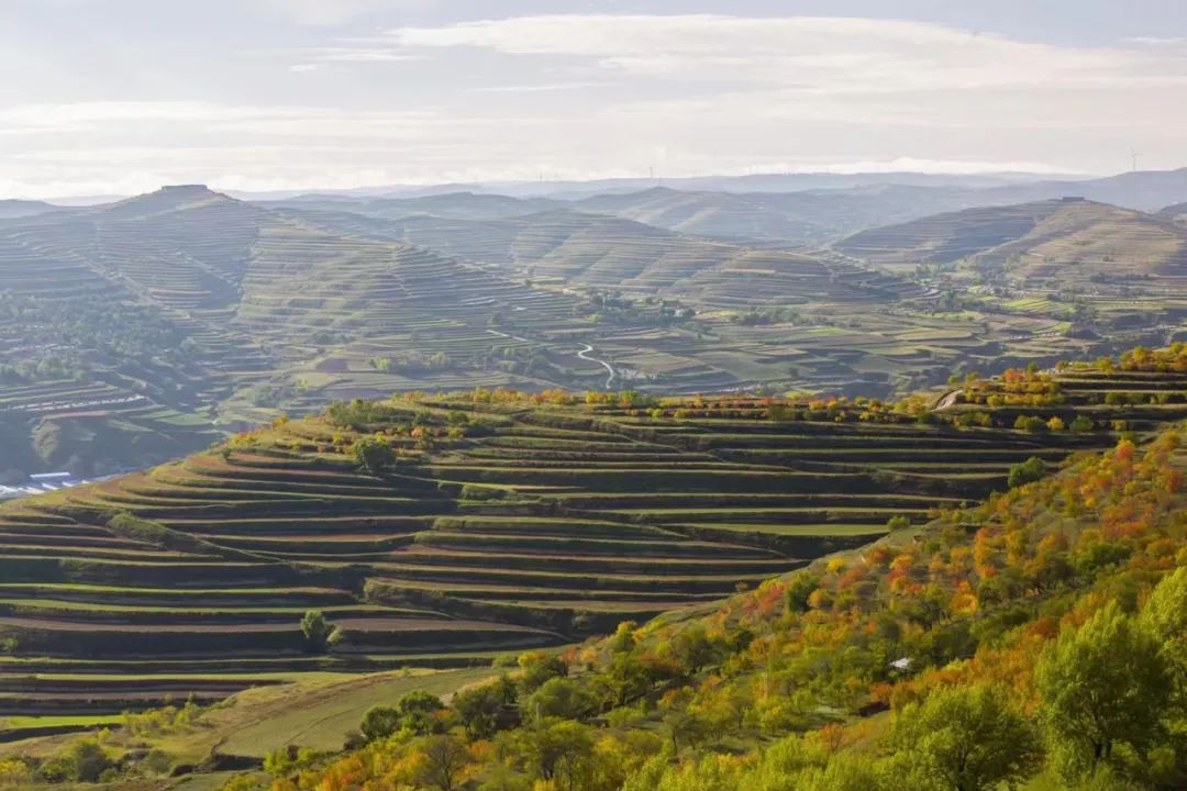 深秋等你到来,深秋等你来