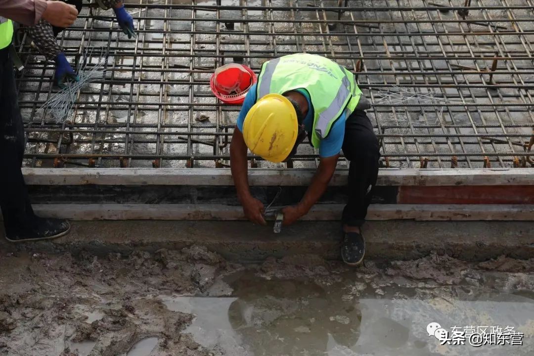 东营泮水公园火爆,东营泮水公园有植物吗