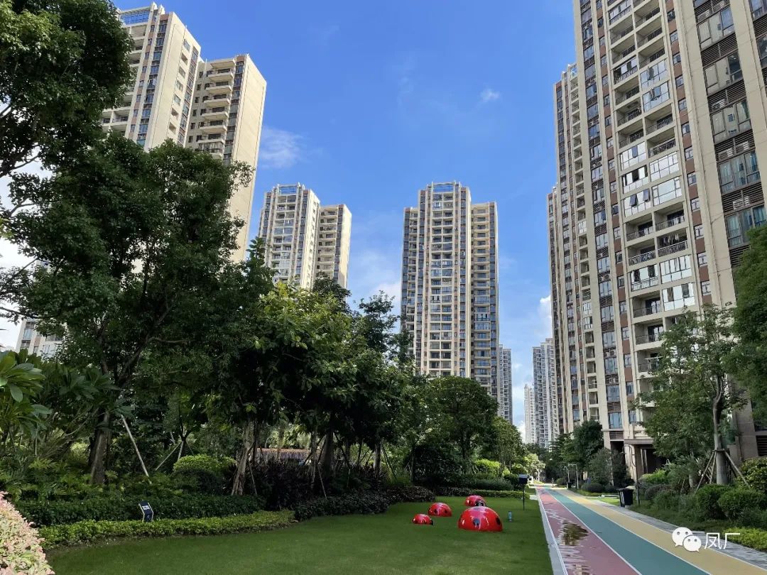 容桂东部：凤凰湾入秋了（多图）