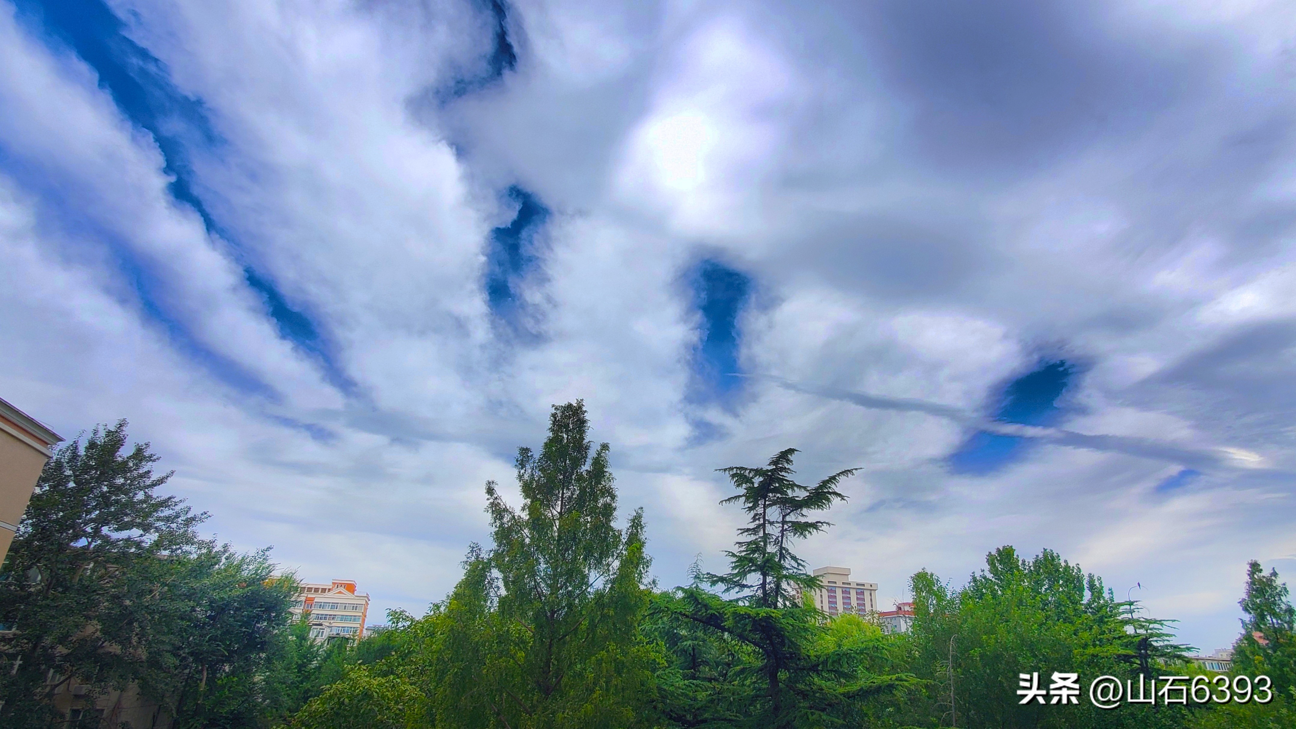 陈民“永远的78师”74：瞎参谋乱干事胡助理～司政后机关的精英们