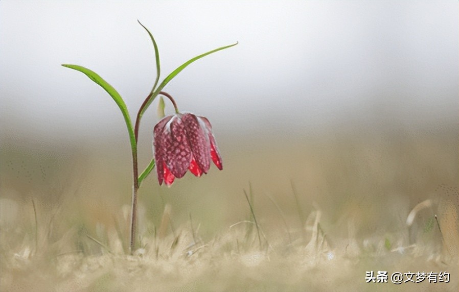 女朋友不爱我了该怎么挽回,如果女朋友不爱了怎么挽回