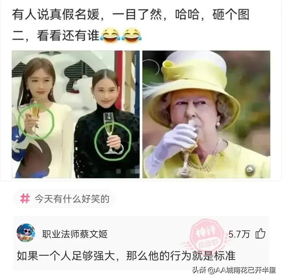 女王拿红酒杯对比名媛,女王喝红酒