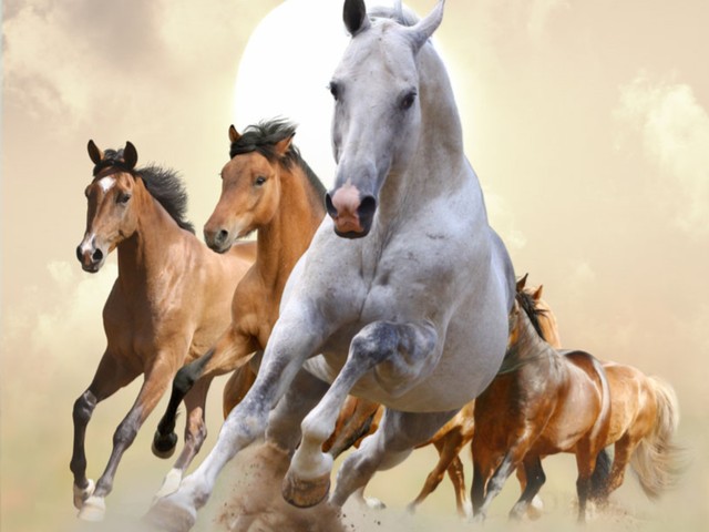 生肖马和生肖蛇谁更厉害,78年生肖马和76年生肖龙合适吗