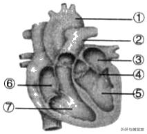 2021年黑龙江省龙东地区中考生物试卷