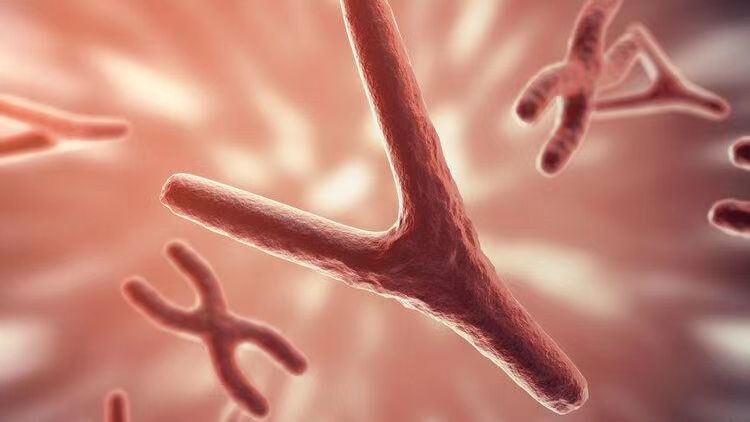 女性*处私**的润滑液是如何产生的？如何改善*处私**干燥？医生告诉你