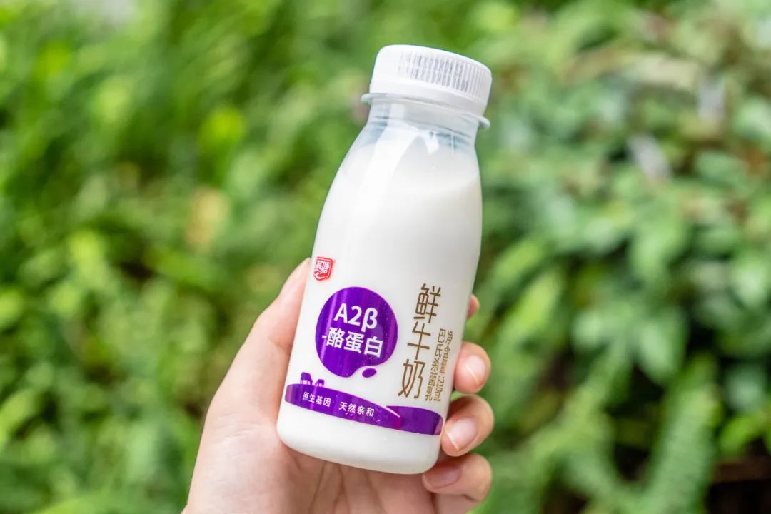 好喝又有营养的奶测评,国产奶和进口奶口感哪个好