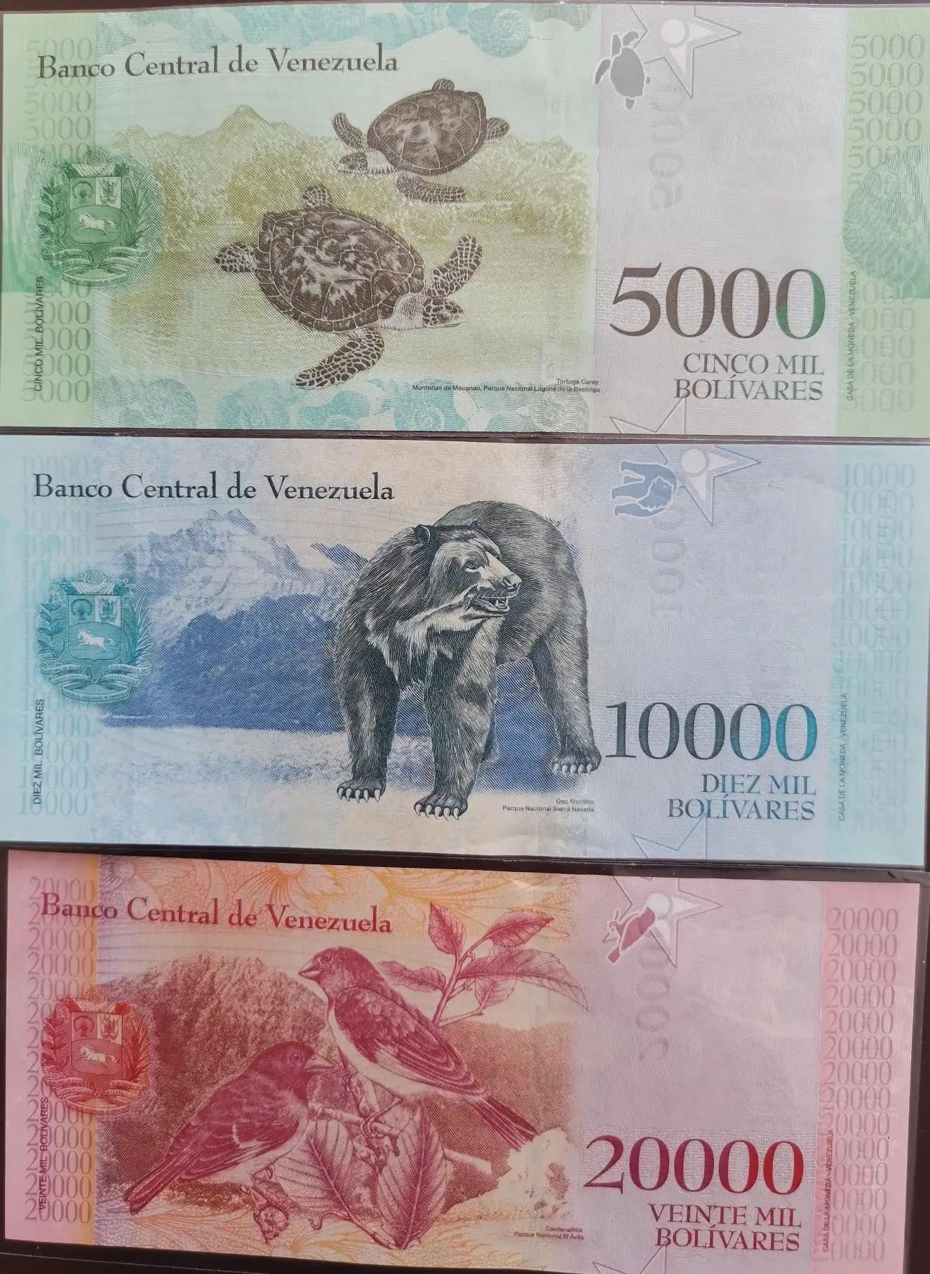 委内瑞拉纸币视频,委内瑞拉纸币简介