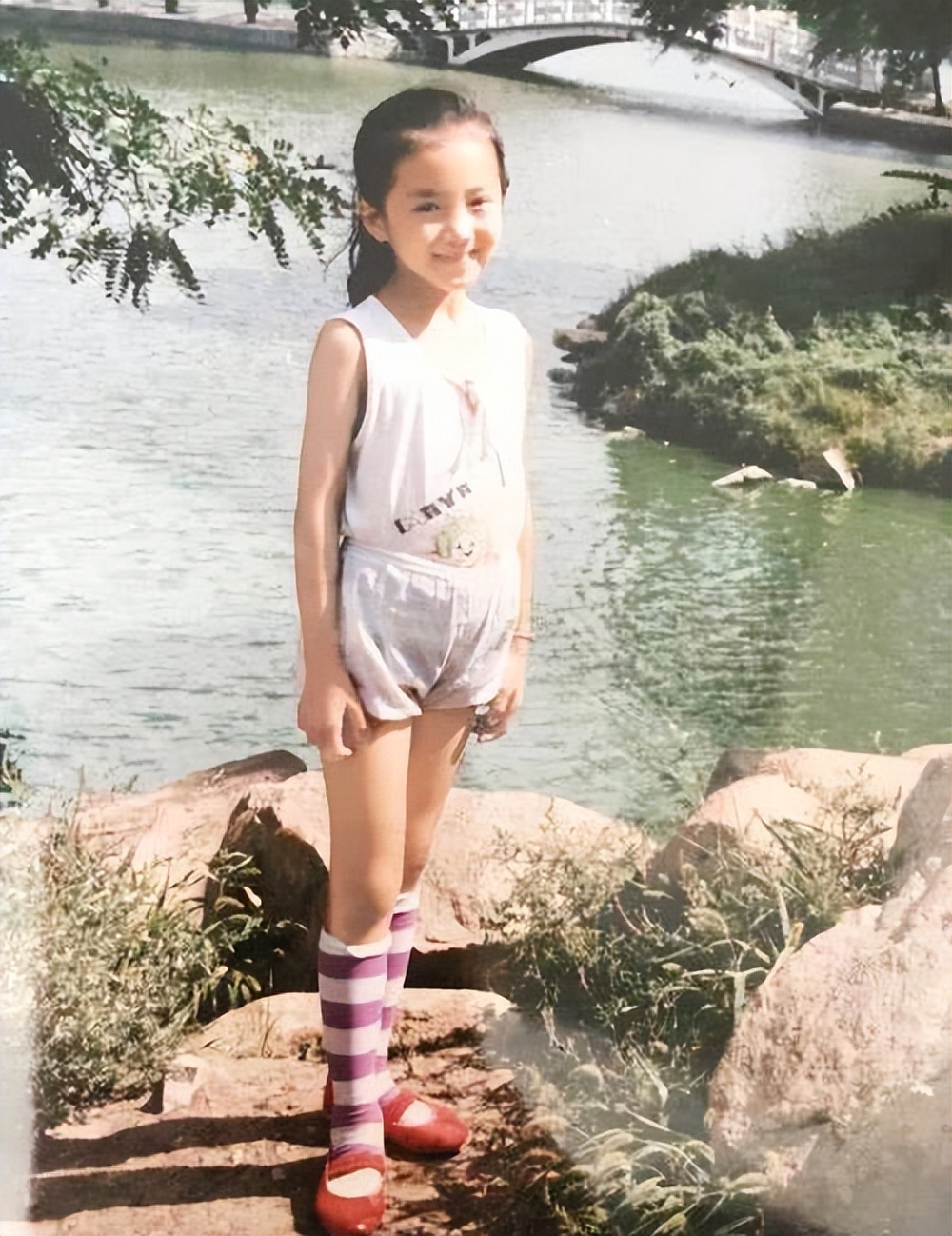 李依晓被狗咬为什么还会败诉,李依晓被狗咬前后的照片对比