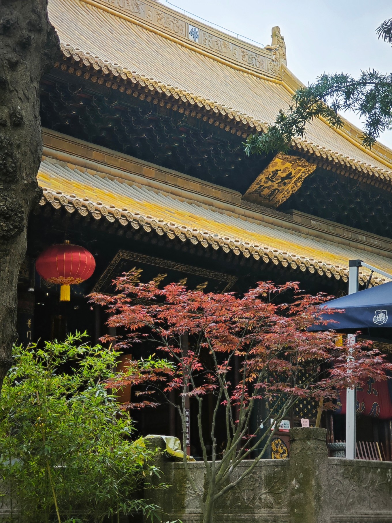 普陀山二日祈福游,普陀山朝拜二日行