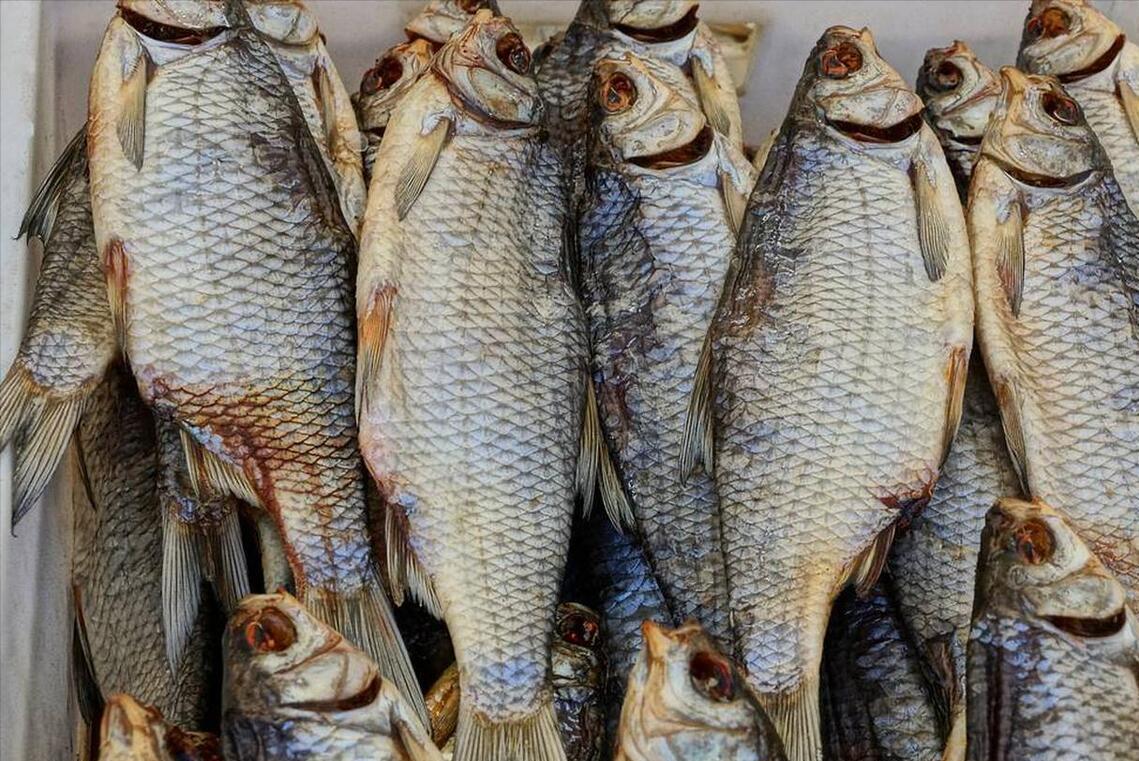 看到这五种鱼千万别买,这3种鱼最好别买