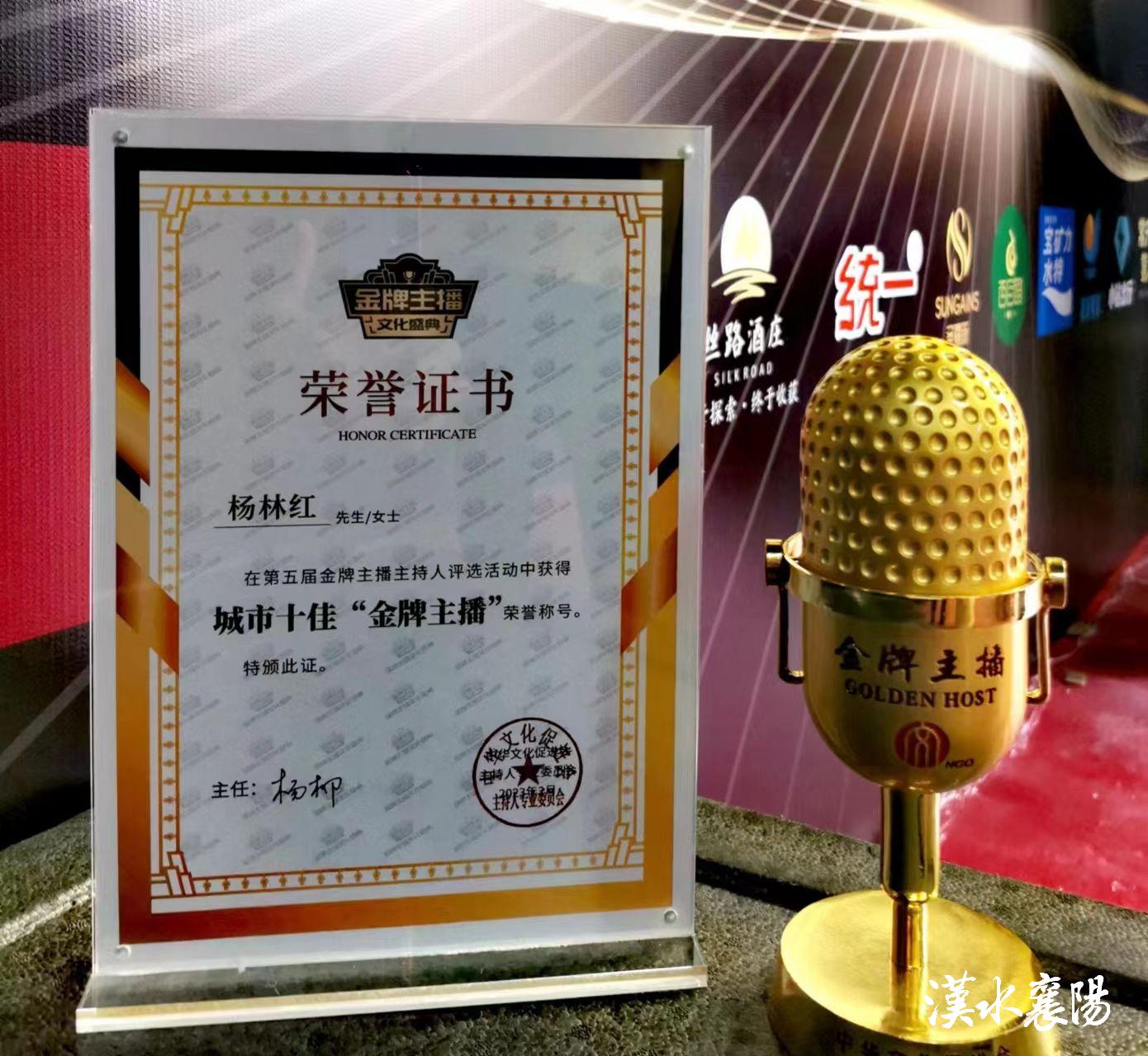 襄阳广电主持人大赛总决赛,襄阳广电主持人聂佳倩