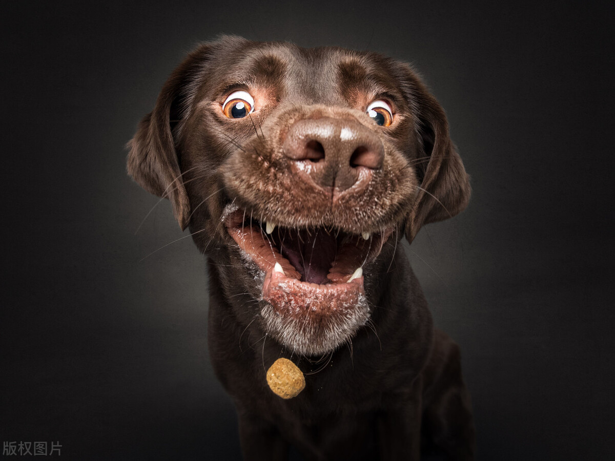 4月1日愚人节文案搞笑,不骗你这9句愚人节文案太走心