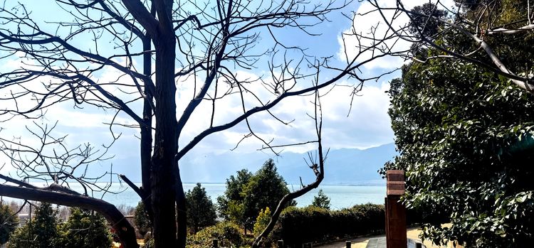 哈雷车主会福州分会,福建福州哈雷车主会