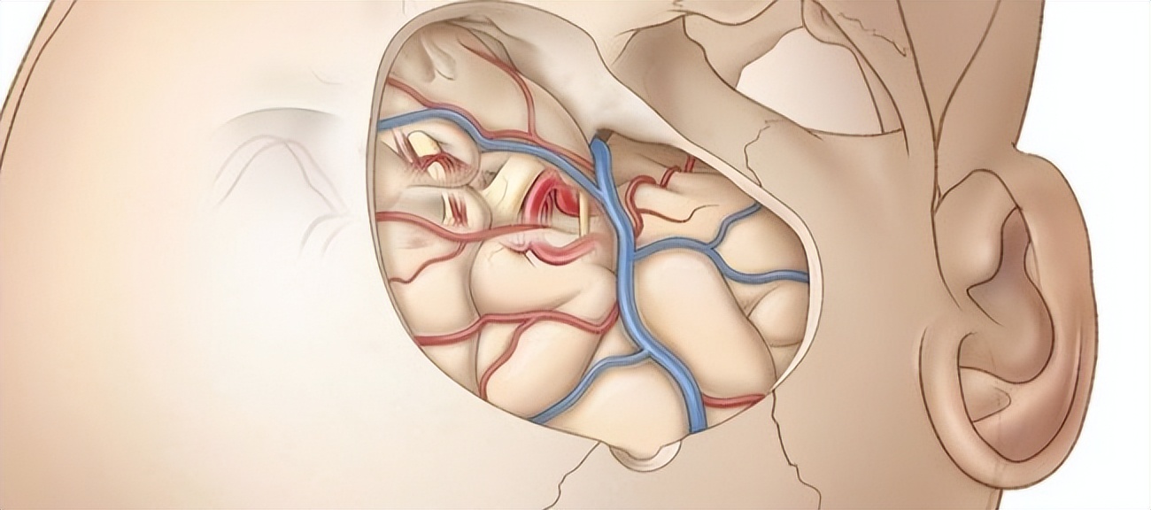 人类最愚蠢的发明,人类史上最厉害的发明