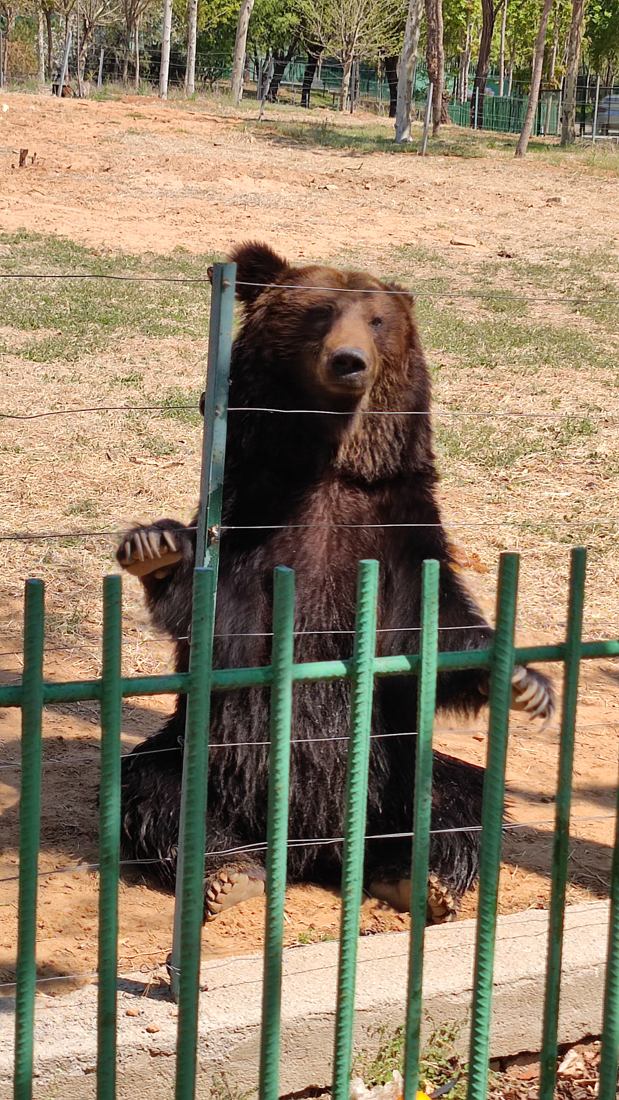 秦皇岛北戴河旅游景点大全,秦皇岛旅游攻略景点推荐