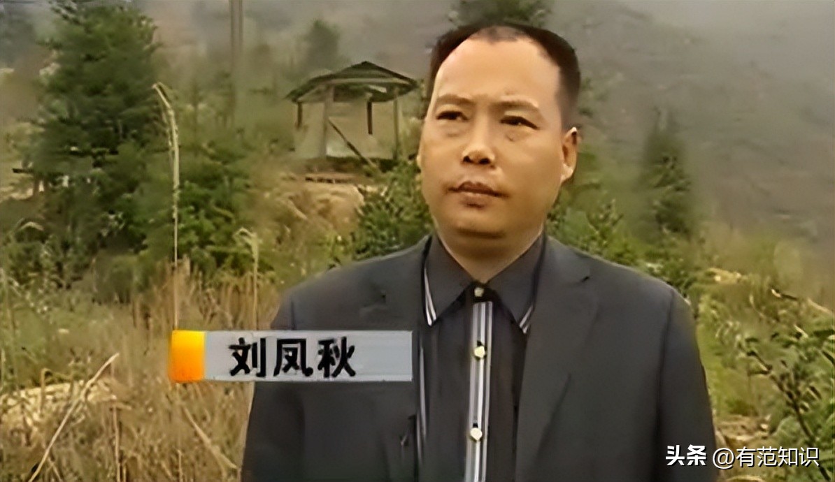 湖南小伙5000亩地养10只鸡,湖南小伙5000亩地只养十只鸡