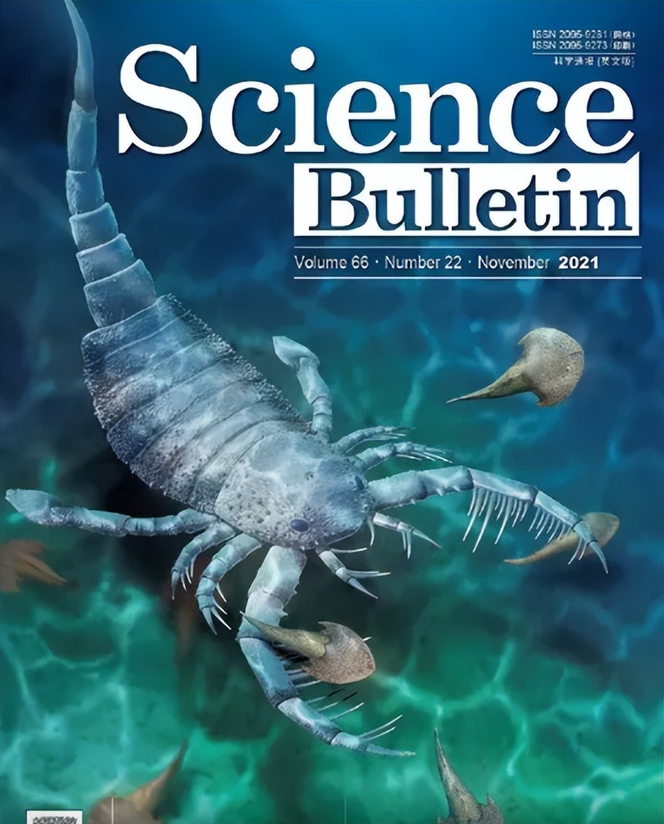 人类的祖先被昆虫吃了几亿年,人类的祖先遇到过巨型昆虫吗