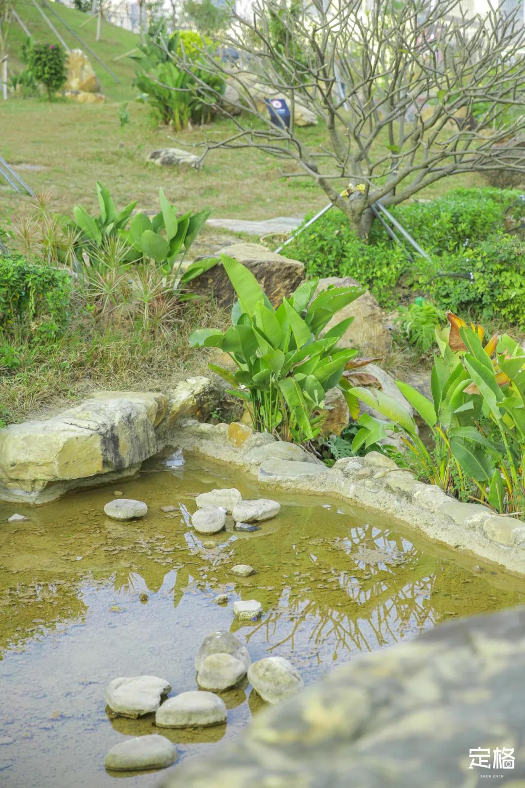 深圳户外公园最大滑滑梯,深圳滑滑梯免费南山公园附近