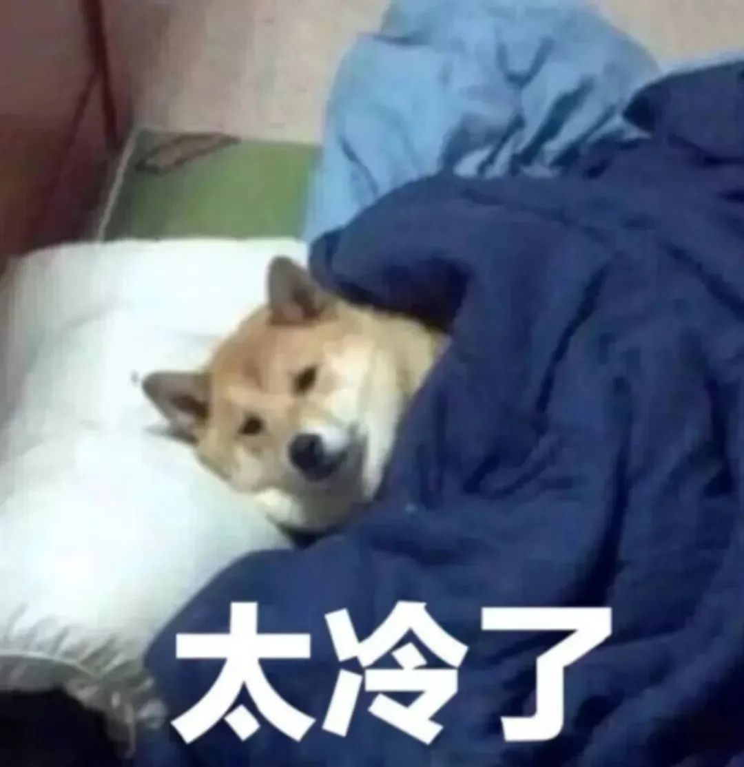 冷冷冷广西将迎来两股冷空气,最新冷空气什么时候到达湛江