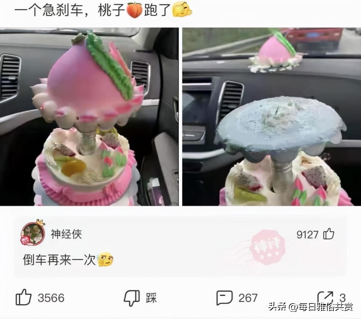 盘点那些“盐选神回复”,盐选神回复